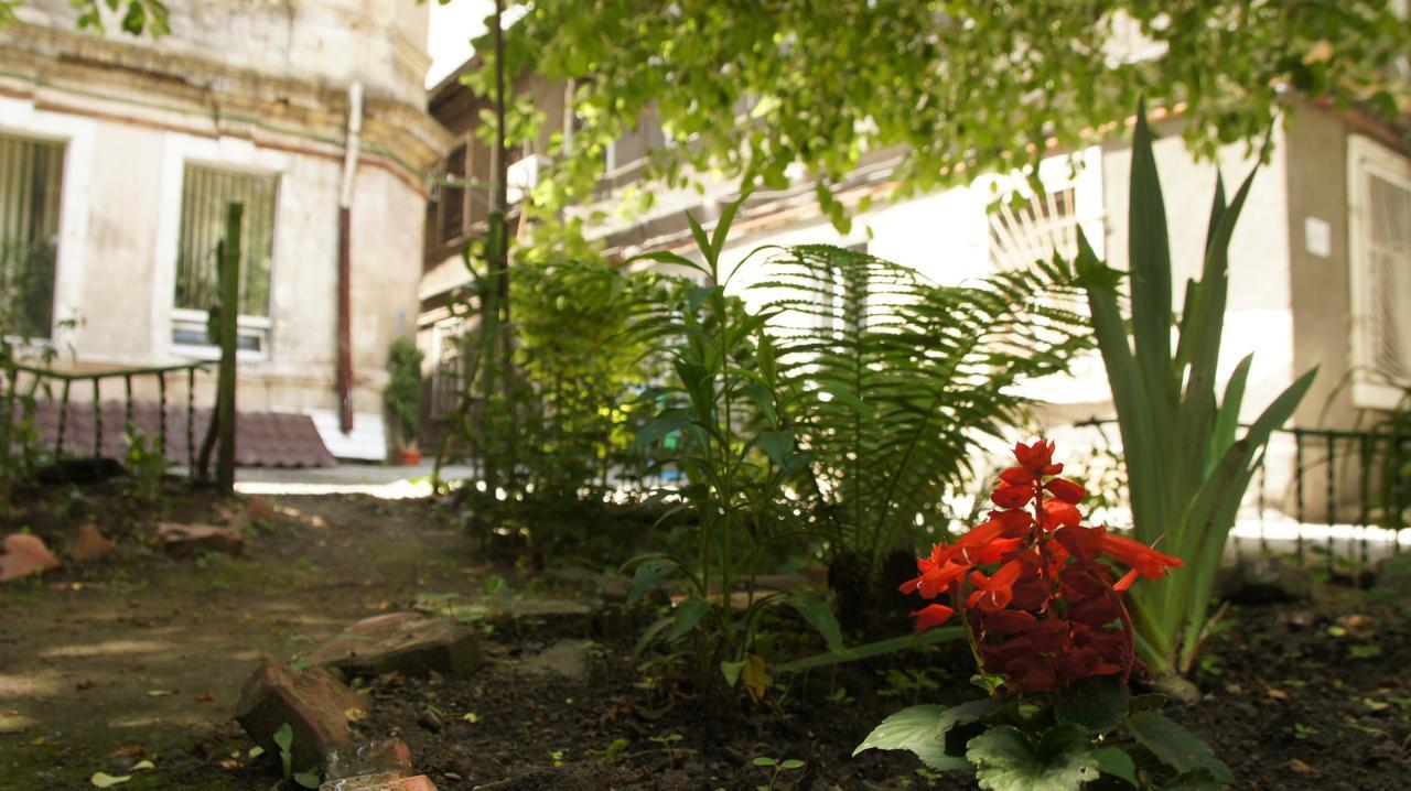 Dream Hostel Odessa Luaran gambar